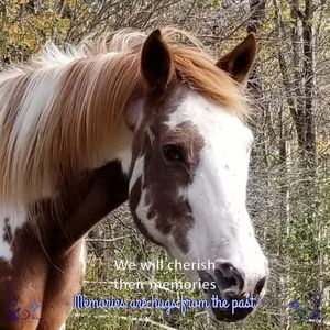 Meet your Posher, Lynn